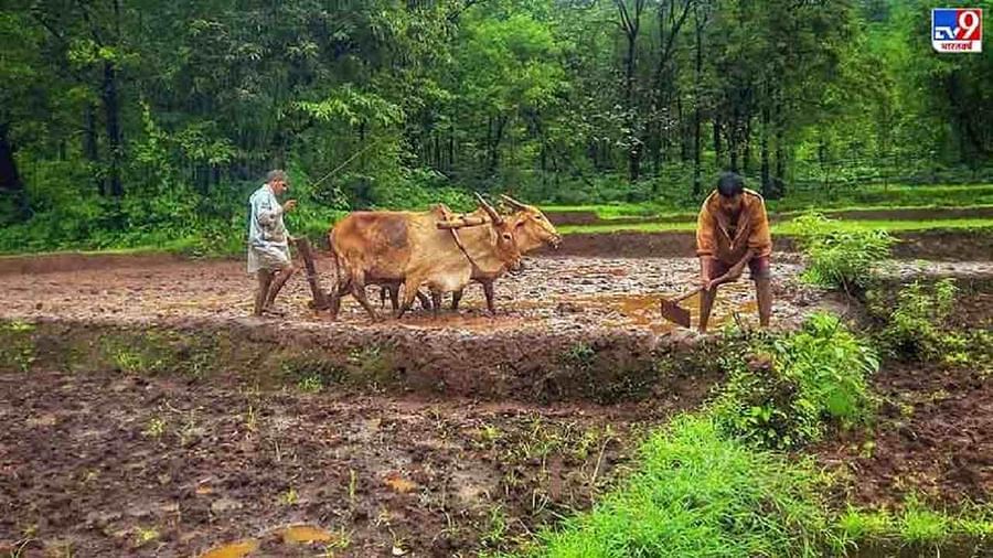 બીજામૃત નવા છોડના બીજ રોપતી વખતે બીજામૃતનો ઉપયોગ થાય છે. બીજામૃતની મદદથી નવા છોડના મૂળને ફૂગ, જમીનથી થતા રોગો અને બીજને રોગોથી બચાવી શકાય છે. ગાયનું છાણ, એક શક્તિશાળી કુદરતી ફૂગનાશક, ગૌમૂત્ર વિરોધી બેક્ટેરિયલ પ્રવાહી, લીંબુ અને માટીનો ઉપયોગ બીજામૃત બનાવવા માટે થાય છે.