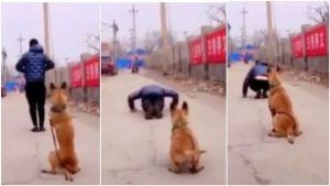 Viral: માલિક સાથે કસરત કરી રહેલા કુતરાનો વીડિયો વાયરલ, લોકોએ કર્યા ખુબ વખાણ