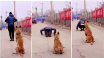 Viral: માલિક સાથે કસરત કરી રહેલા કુતરાનો વીડિયો વાયરલ, લોકોએ કર્યા ખુબ વખાણ