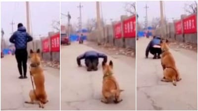 Viral: માલિક સાથે કસરત કરી રહેલા કુતરાનો વીડિયો વાયરલ, લોકોએ કર્યા ખુબ વખાણ