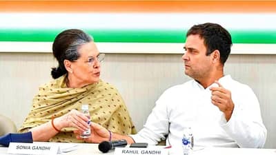 કોંગ્રેસ પાર્ટીને સપ્ટેમ્બરમાં મળશે નવા અધ્યક્ષ! શું રાહુલ ગાંધી ફરી બનશે પાર્ટી પ્રમુખ? મધુસૂદન મિસ્ત્રીએ આપ્યો આ જવાબ