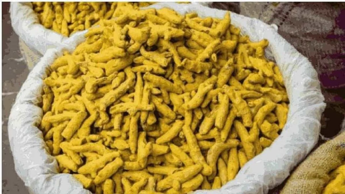 Turmeric Farming : હળદરના વાવતેરમાં વધારો છતાં ઉત્પાદનમાં થયો ધરખમ ઘટાડો, શું રસોઈનો રંગ પડશે ફિક્કો ?