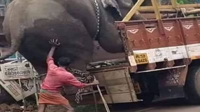 Viral: હાથીને ટ્રક પર ચઢાવતા આ શખ્સની તસ્વીર થઈ વાયરલ, લોકો આ કારણે કરી રહ્યા છે તેના વખાણ