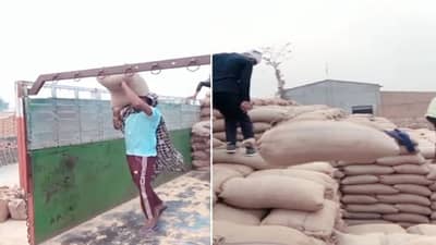 Jugaad : બોરી ઉઠાવવા આ વ્યક્તિએ લગાવ્યુ ગજબનુ દિમાગ, પરફેક્શન જોઈને લોકો મોઢામાં આંગળા નાખી ગયા !