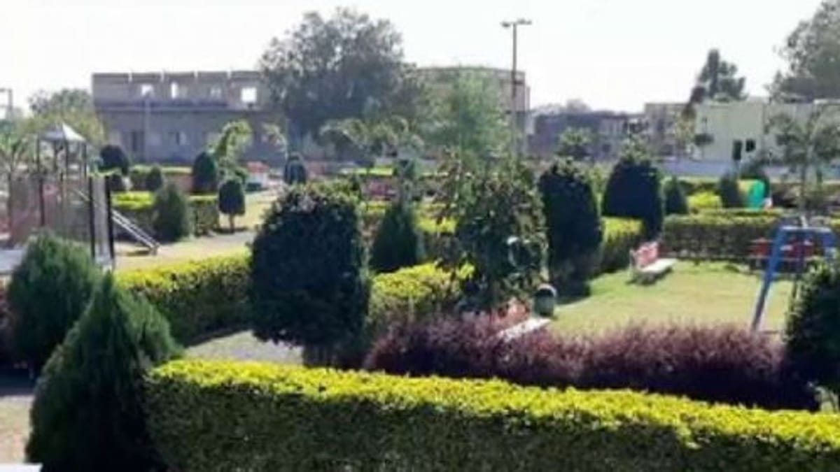 Gram Panchayat Election : ધોરાજી તાલુકાના જમનાવડમાં ગ્રામ પંચાયત સમરસ થઈ, ગ્રામજનોએ યુવા સરપંચ પર વિશ્વાસ કાયમ રાખ્યો