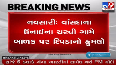 નવસારીઃ વાંસદાના ઉનાઈના ચરવી ગામે બાળક પર દીપડાનો હુમલો, બાળકને સારવાર અર્થે હોસ્પિટલ ખસેડાયો