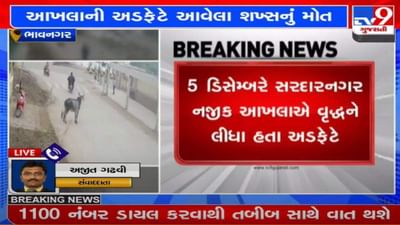 Bhavnagar : આખલાએ વૃદ્ધ વ્યક્તિનો લીધો જીવ, વાયરલ વીડિયો જોઇને રુંવાડા ઉભા થઇ જશે Bhavnagar : આખલાએ વૃદ્ધ વ્યક્તિનો લીધો જીવ, વાયરલ વીડિયો જોઇને રુંવાડા ઉભા થઇ જશે