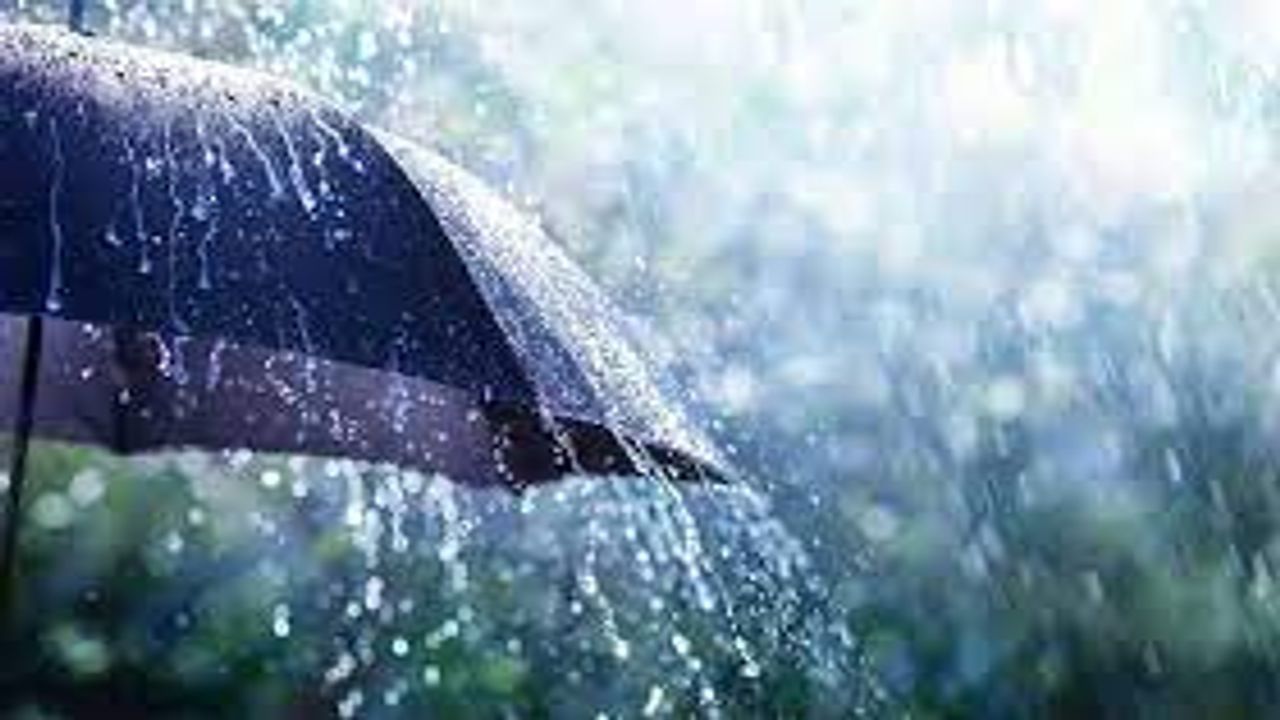 Unseasonal rains : રાજયમાં ભરશિયાળે વરસાદી માહોલ, હવામાન વિભાગની હજુ વરસાદની આગાહીથી ખેડૂતો ચિંતિત