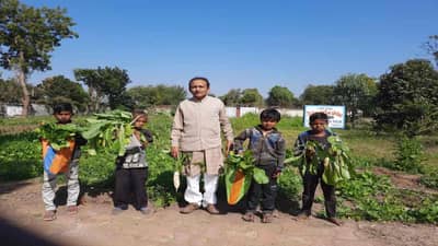 Vadodara: શિક્ષક દંપતીની અનોખી પહેલ, 20 વર્ષથી શાળામાં જ શાકભાજી ઉગાડી વિદ્યાર્થીઓને ખવડાવે છે