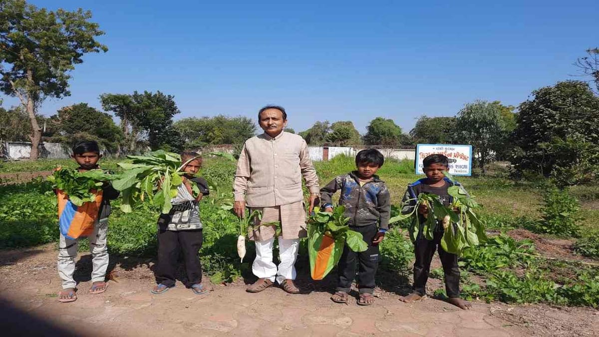Vadodara: શિક્ષક દંપતીની અનોખી પહેલ, 20 વર્ષથી શાળામાં જ શાકભાજી ઉગાડી વિદ્યાર્થીઓને ખવડાવે છે