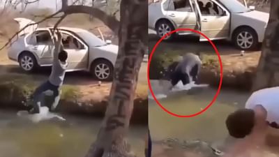 Video : નદી પાર કરવા આ યુવકે અપનાવ્યો શોર્ટકટ, પછી જે થયુ તે જોઈને તમને પણ હસવુ આવશે