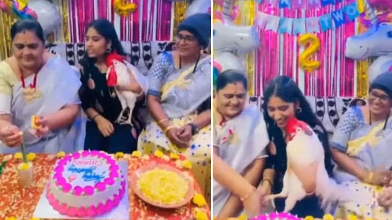 મરઘીની બર્થડે પાર્ટી : આ યુવતીએ 2 વર્ષની મરધીનો ઉજવ્યો જન્મદિવસ ! ઈન્ટરનેટ પર વીડિયો થયો વાયરલ