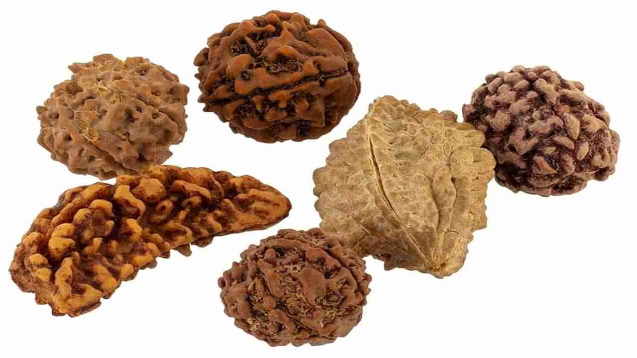 Rudraksha Mantra: દેવી દેવતાઓ સાથે જોડાયેલું છે રુદ્રાક્ષનું બીજ, ધારણ કર્યા પહેલા જરૂર જપો તેનો આ મંત્ર