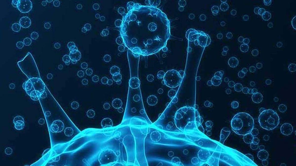 Keralaમાં 94 ટકા પોઝિટીવ સેમ્પલમાં Omicron Variant મળ્યા, સ્વાસ્થ્ય મંત્રીના નિવેદનથી લોકોનું ટેન્શન વધ્યું