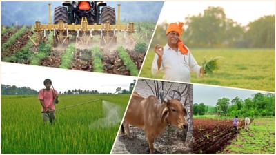 Business idea for villagers: બેરોજગારીથી છો પરેશાન? અપનાવો આ કૃષિ વ્યવસાય થશે લાખોમાં કમાણી