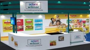 Adani Wilmar IPO : ગૌતમ અદાણીની કંપની લાવી કમાણીની તક, જાણો યોજના વિશે સંપૂર્ણ માહિતી