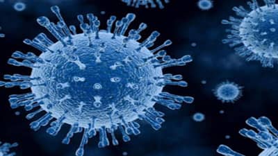 Ahmedabad : કોરોનાના કેસો વધતા ધનવંતરી કોવિડ હોસ્પિટલ ફરી શરૂ થશે,  ICU અને વેન્ટિલેટર બેડ તૈયાર કરાયા, સરકાર પાસે સ્ટાફની માંગણી કરાઇ