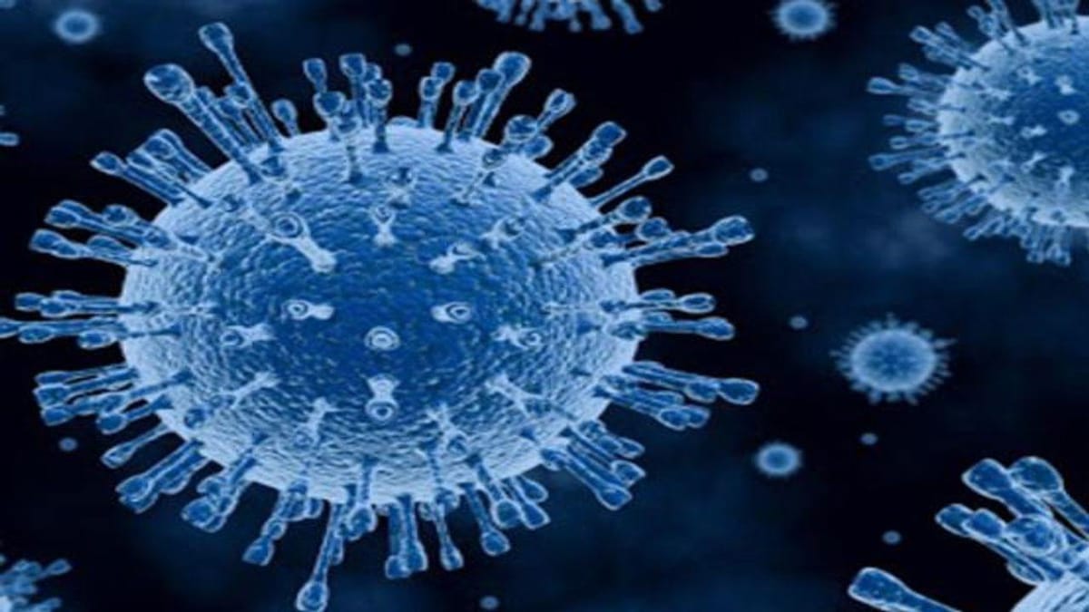 Ahmedabad : કોરોનાના કેસો વધતા ધનવંતરી કોવિડ હોસ્પિટલ ફરી શરૂ થશે,  ICU અને વેન્ટિલેટર બેડ તૈયાર કરાયા, સરકાર પાસે સ્ટાફની માંગણી કરાઇ