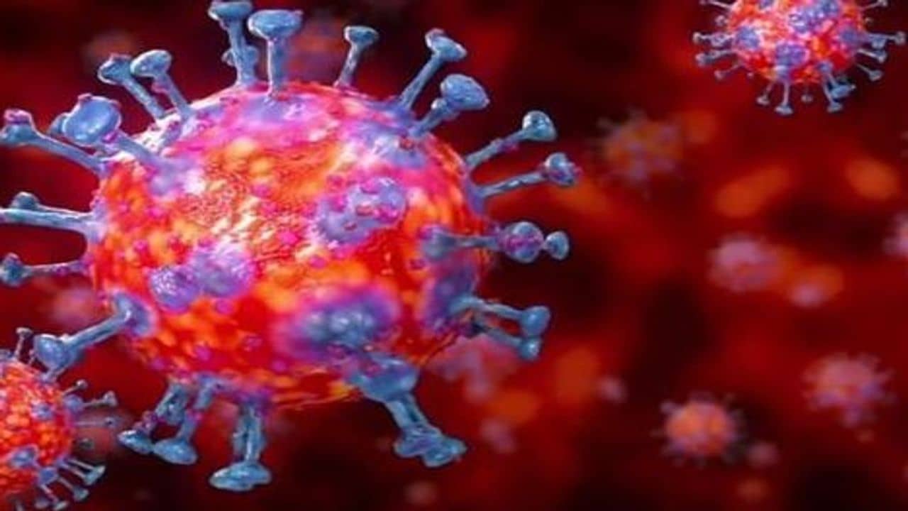 અમદાવાદમાં કોરોનાનો અજગરી ભરડો, 24 કલાકમાં સૌથી વધુ 9, 837 કેસ , 7 દર્દીના મોત