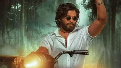 Pushpa Collection : અલ્લુ અર્જુનની આ ફિલ્મે સિનેમાઘરો પર મચાવી ધમાલ, કમાણીમાં થયો અધધ....વધારો