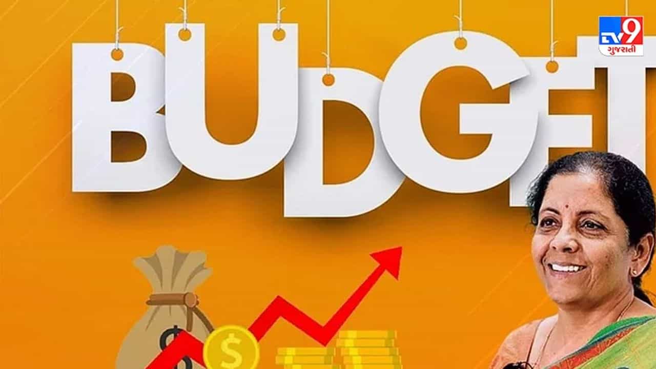 Budget 2022 : ટેકસ્ટાઈલના વેપારીઓ દ્વારા બજેટમાં અનેક માગ સાથે મુદ્દાઓ રજૂ કરાયા, સુરતને ગારમેન્ટ હબ બનાવવા કરાઈ માગ