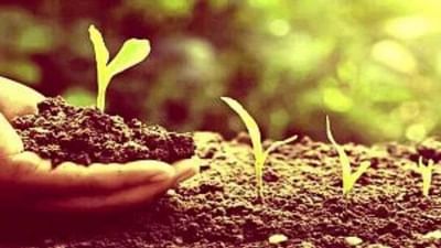 જૈવિક ખાતરોથી વધી રહી છે પાકની ઉત્પાદકતા, રાસાયણિક ખાતરો કરતાં કિંમત પણ છે ઓછી