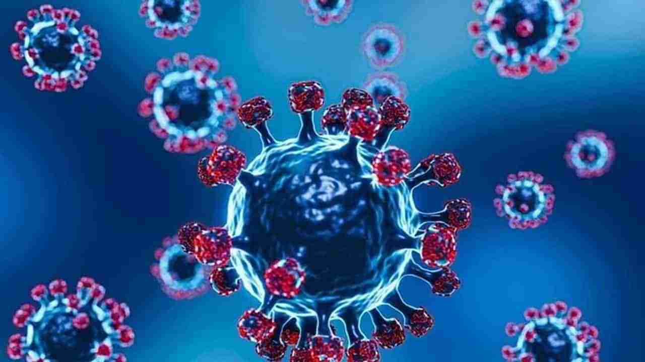 coronavirus in Delhi: દિલ્હીમાં કોરોનાના કેસમાં ફરી વધારો, 24 કલાકમાં 21,259 નવા કેસ આવ્યા, 23 દર્દીઓના મોત