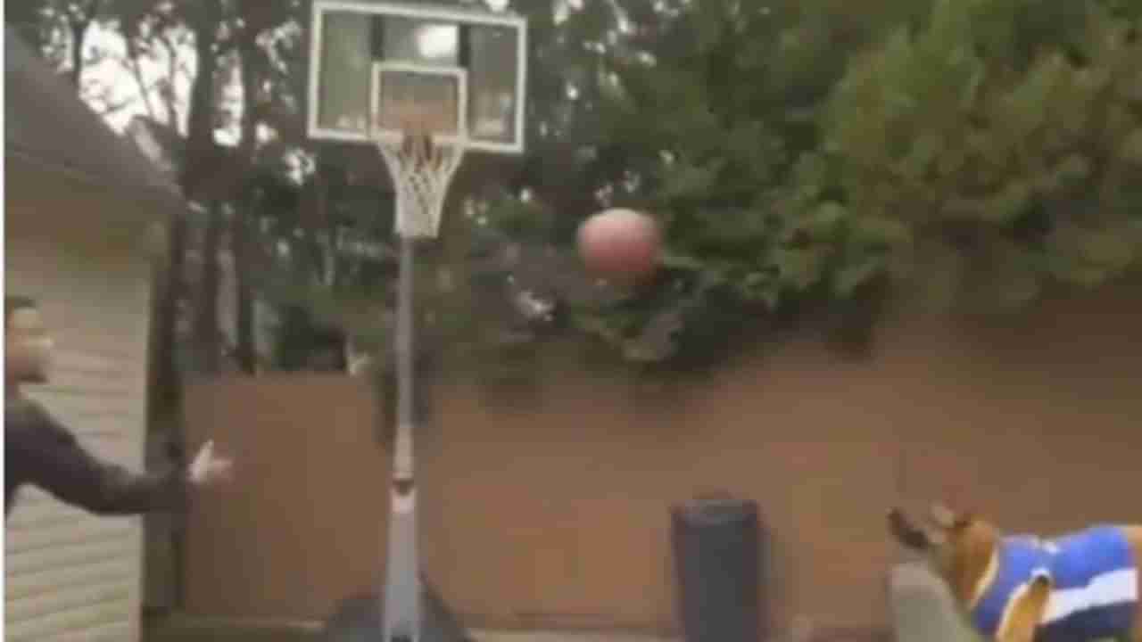 Video : બાસ્કેટબોલ રમતા ડોગીએ ઈન્ટરનેટ પર મચાવી ધમાલ, વીડિયો જોઈને યુઝર્સ કહ્યુ યે તો ખેલાડી હૈ
