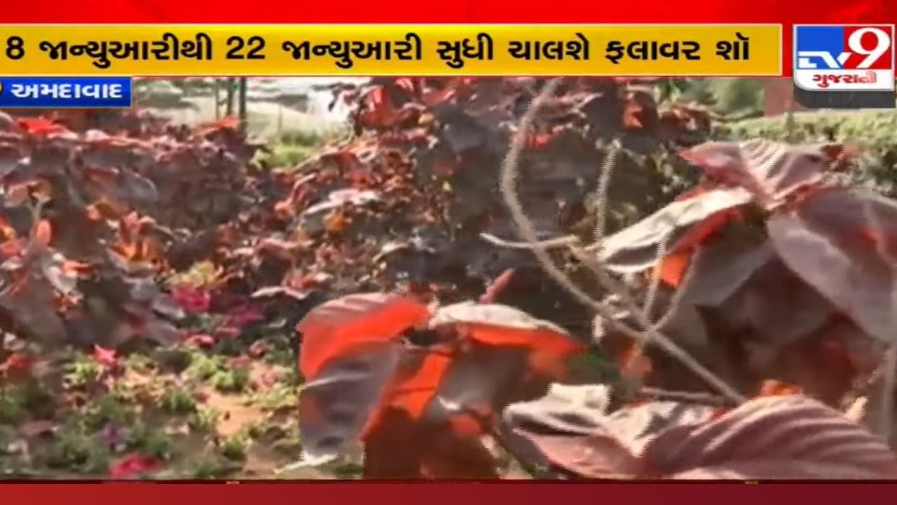 લો બોલો! વધતા જતા કોરોના વચ્ચે અમદાવાદમાં આ થીમ પર યોજાશે ફ્લાવર શો, કરોડોનો કર્યો છે ખર્ચ, જાણો વધુ લો બોલો! વધતા જતા કોરોના વચ્ચે અમદાવાદમાં આ થીમ પર યોજાશે ફ્લાવર શો, કરોડોનો કર્યો છે ખર્ચ, જાણો વધુ