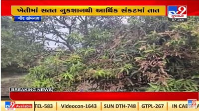 Gir Somnath : કમોસમી વરસાદથી ખેડૂતોને નુકશાન, વળતરની માંગ