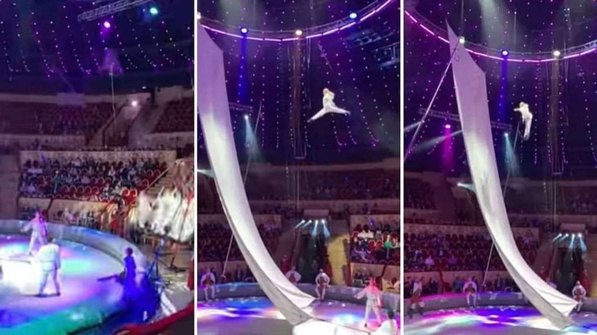 Video: યુવતીએ 30 ફૂટની ઉંચાઈ પર કર્યા ખતરનાક સ્ટંટ, સોશિયલ મીડિયા પર વીડિયો થયો વાયરલ