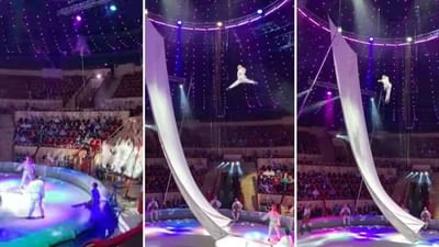 Video: યુવતીએ 30 ફૂટની ઉંચાઈ પર કર્યા ખતરનાક સ્ટંટ, સોશિયલ મીડિયા પર વીડિયો થયો વાયરલ