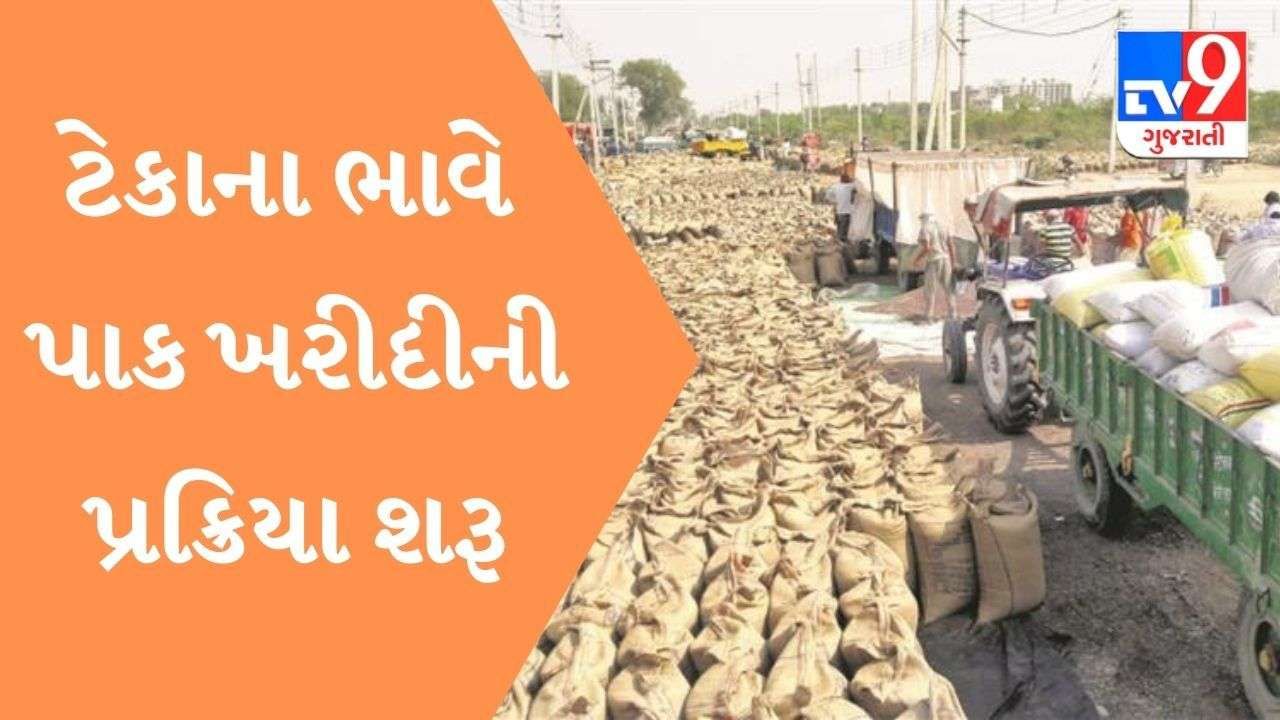 Gujarat સરકારે ટેકાના ભાવે પાકોની ખરીદીની પ્રક્રિયા શરૂ કરી, ખેડૂતો માટે ઓનલાઇન નોંધણીના હેલ્પ લાઇન નંબર જાહેર કર્યા
