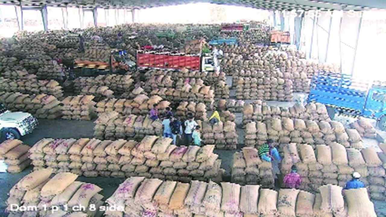 ગુજરાત સરકાર લઘુત્તમ ટેકાના ભાવથી તુવેર, ચણા અને રાયડાની ખરીદી શરૂ કરશે