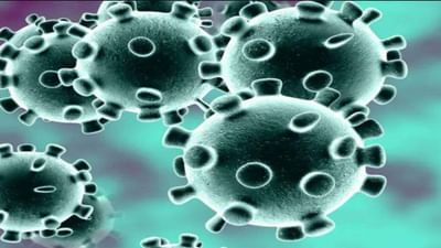 ગુજરાતમાં આજે કોરોનાના નવા 24,485 કેસ, 13ના મોત