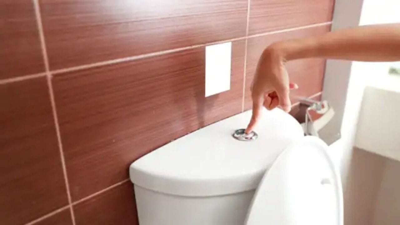 Health: ઓછું પાણી પીવા છતાં વારે વારે જવું પડે છે વોશ રૂમ? જાણો કારણો