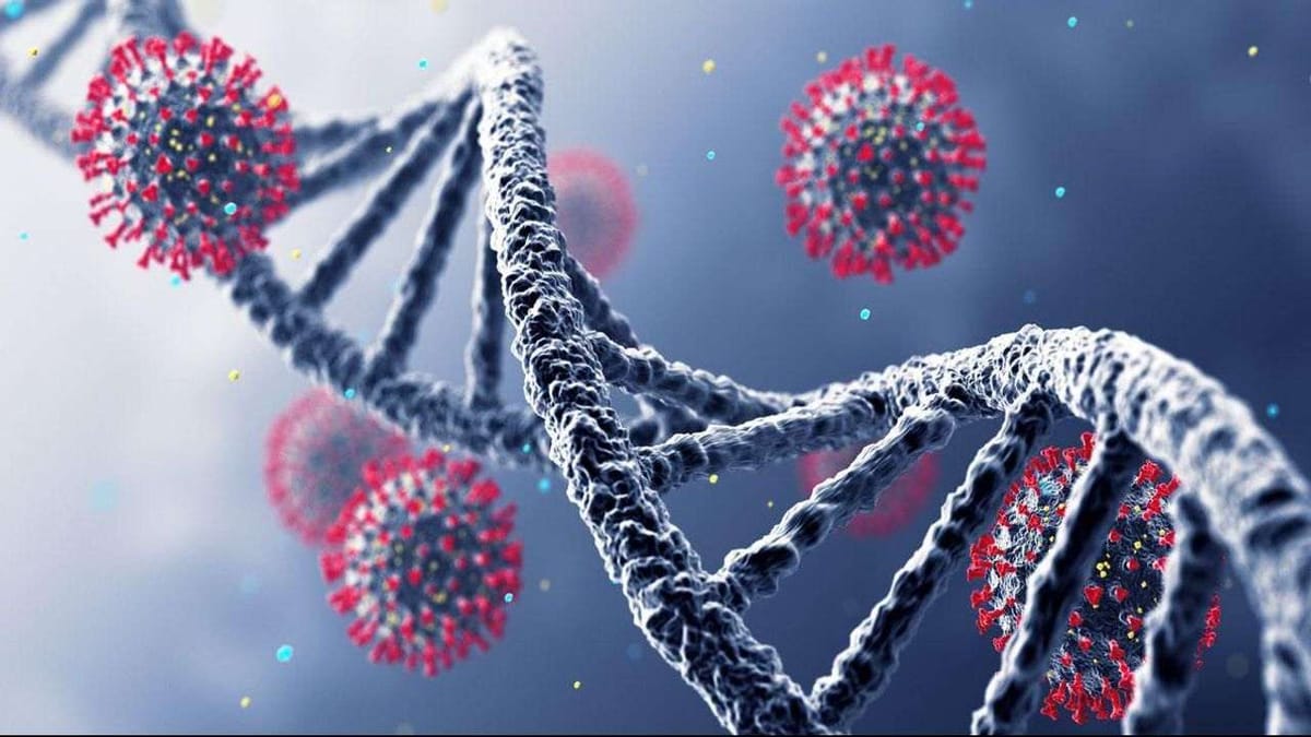 Health: ઓમિક્રોનના લક્ષણો દેખાય ત્યારે આ આહારનું સેવન કરો, મળશે ઘણા ફાયદા