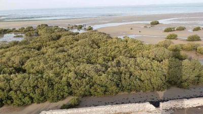 જામનગર : ચાર વર્ષ બાદ પિરોટન ટાપુ પર મુલાકાત માટેની પરવાનગી મળશે