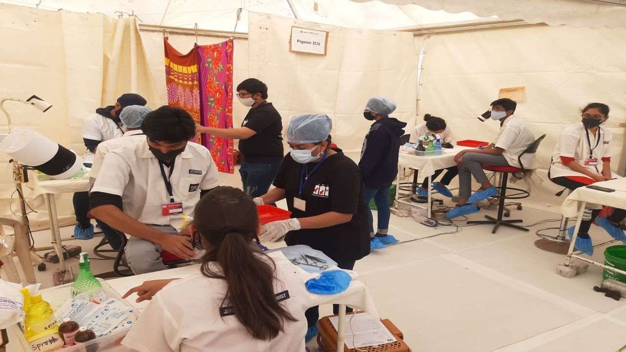 Ahmedabad: ઉત્તરાયણના પર્વ પર જીવદયા સહિતની સંસ્થા કરશે ઘાયલ પશુ-પક્ષીઓની સારવાર, 150 ડોક્ટર સહિતનો સ્ટાફ હાજર