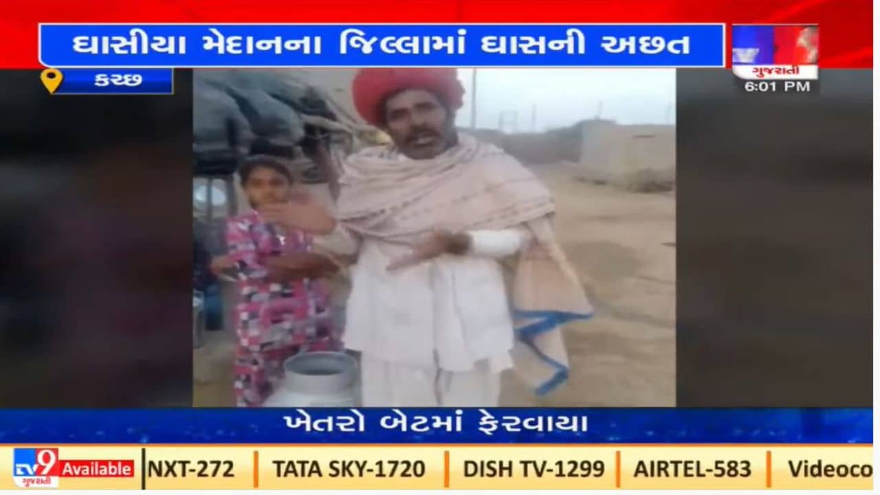 Kutch : ઘાસચારાની અછતના પગલે પશુપાલકોની કફોડી હાલત, કથિત વિડીયો સામે આવ્યો