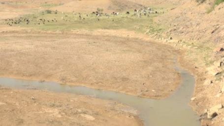 Bhuj: કચ્છનો સૌથી મોટો રૂદ્રમાતા ડેમ ઉનાળા પહેલા તળીયા જાટક ખેડૂતો-પશુપાલકો ચિંતીત!