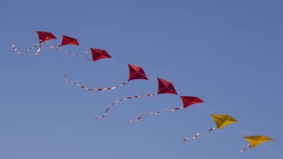 Makar Sankranti 2022 : મકરસંક્રાંતિ 14મી કે 15મી જાન્યુઆરીએ ? તારીખ વિશે જો હોય શંકા, તો જાણી લો સાચી તારીખ !