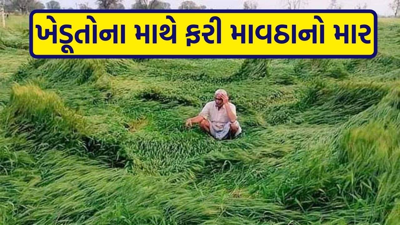 ખેડૂતોના માથે ફરી માવઠાનો માર: આ તારીખે રાજ્યમાં પડી શકે છે કમોસમી વરસાદ, હવામાન વિભાગની આગાહી