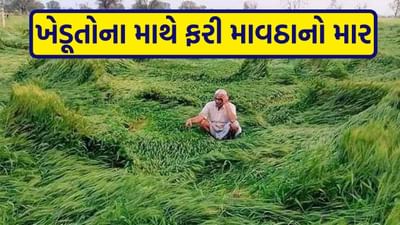 ખેડૂતોના માથે ફરી માવઠાનો માર: આ તારીખે રાજ્યમાં પડી શકે છે કમોસમી વરસાદ, હવામાન વિભાગની આગાહી