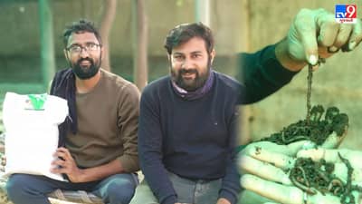 મહેસાણા : બે યુવાનોએ કૃમિ ખાતરના ઉત્પાદનમાં કાઠું કાઢ્યું, જાણો આ યુવકોની સિદ્ધિ ગાથા