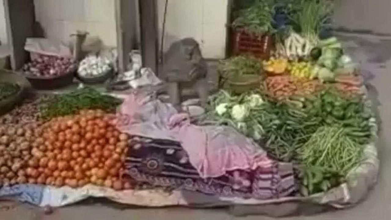 Video: અતરંગી વાંદરાએ ઈન્ટરનેટ પર મચાવી ધમાલ ! શાકભાજી વેચતા વાંદરાને જોઈને યુઝર્સ હસીને લોટ પોટ થયા