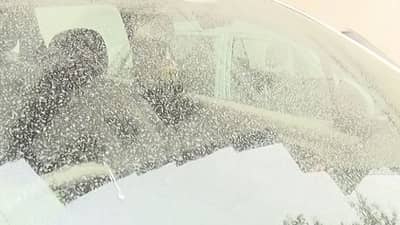 Mumbai Weather: મુંબઈમાં તીવ્ર ઠંડી! દસ વર્ષનો રેકોર્ડ તૂટ્યો, પાકિસ્તાનમાંથી મુસીબત બનીને આવ્યું સફેદ પાવડરનું તોફાન