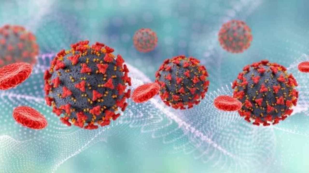 Corona: સંશોધનમાં ખુલાસો, ત્વચા પર 21 કલાક તો પ્લાસ્ટીકની સપાટી પર 8 દિવસ સુધી ટકી શકે છે ઓમીક્રોન