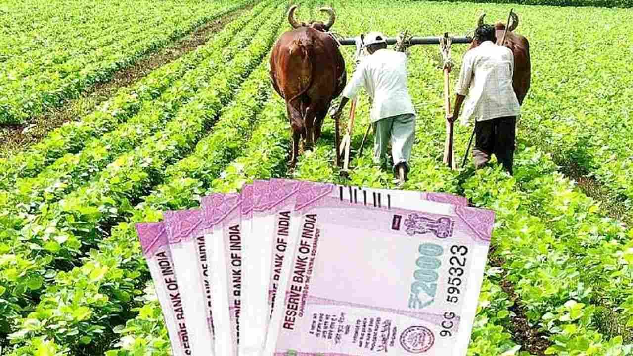 PM Kisan Scheme : 10.50 કરોડ ખેડૂતોને સરકાર આપે છે પૈસા, તમે પણ આ યોજનાનો લાભ લેવા માટે આ રીતે કરો અરજી