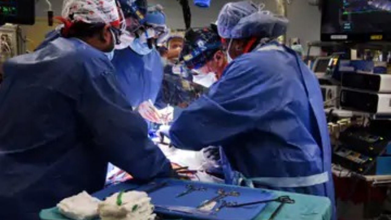 Pig Heart Transplant: વિશ્વમાં પ્રથમ વખત અમેરિકામાં ડુક્કરનું હૃદય માણસના શરીરમાં ધબકશે